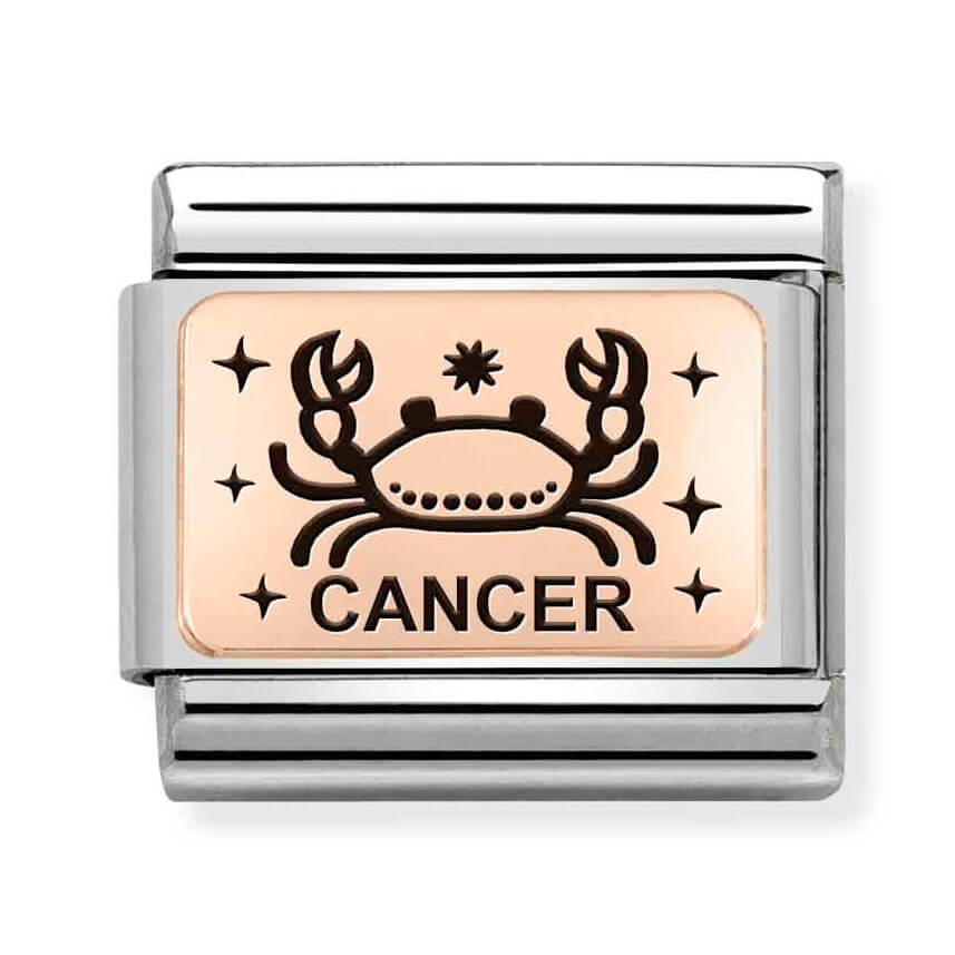 Composable Classic Stainless Steel Link With 9K Rose Gold Cancer Zodiac Symbol