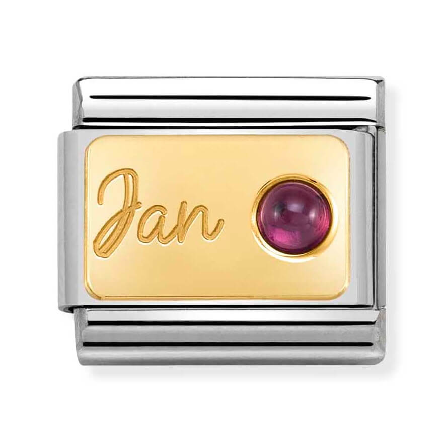 Composable Classic Stainless Steel Link With 18k Gold & January Garnet Stone
