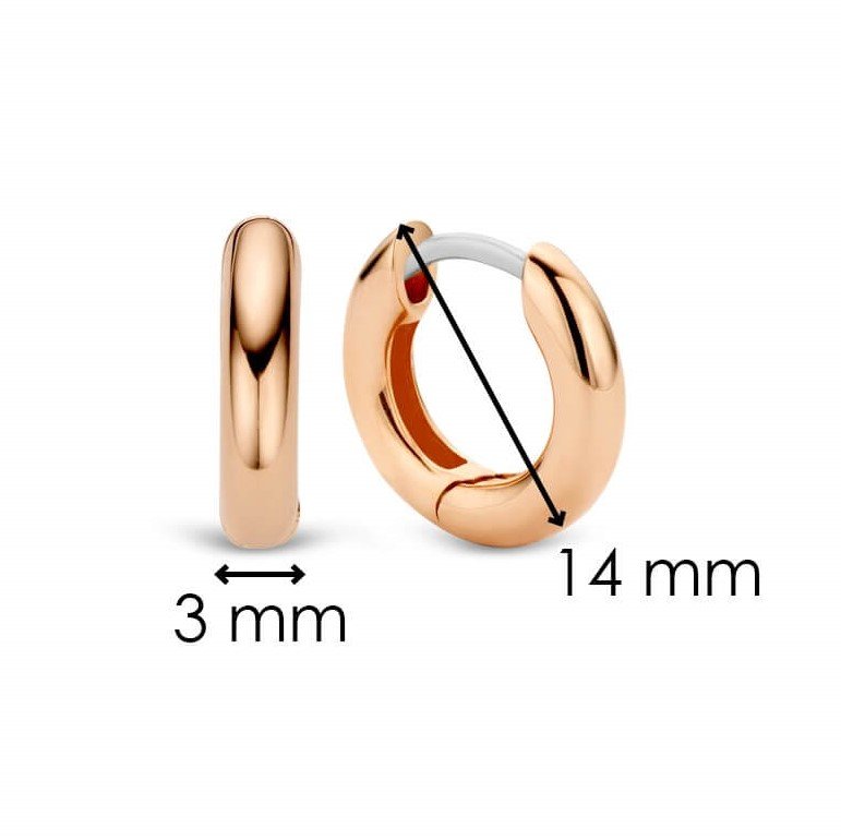 Rose Gold Plated Small Hoop Earrings