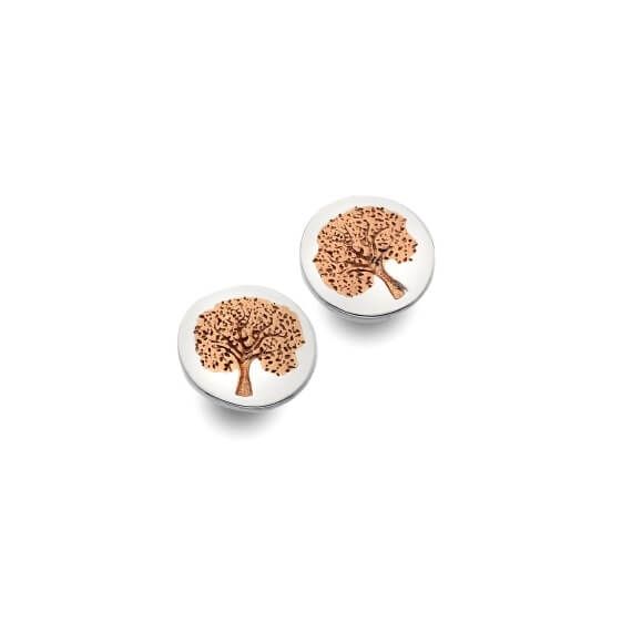 Origins Rose Gold Plated Tree Round Stud Earrings