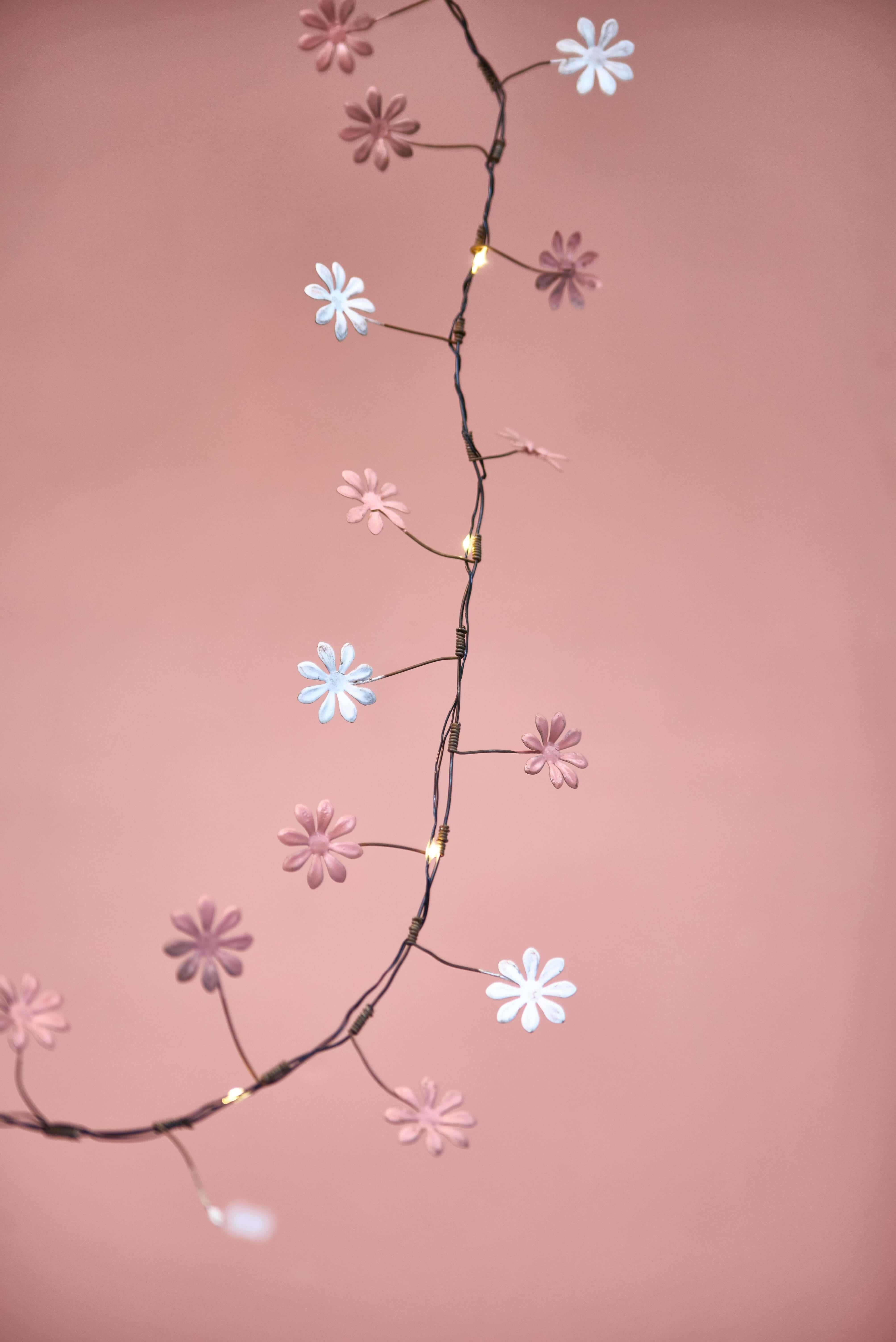 Daisy Flower String Light