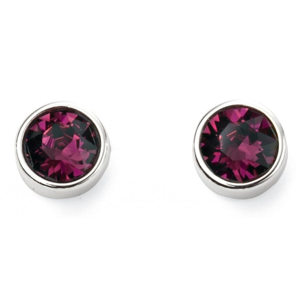Feb Birth Stone Sterling Silver Earring