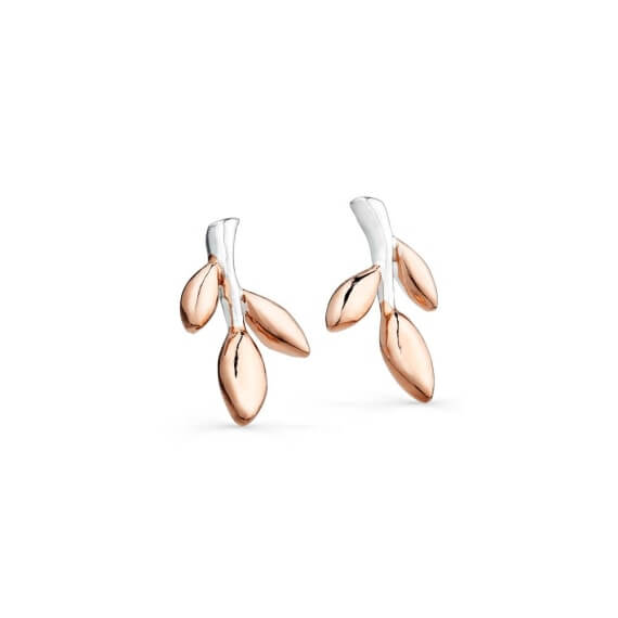 Origins Rose Gold Plated Stem & Leaves Stud Earrings