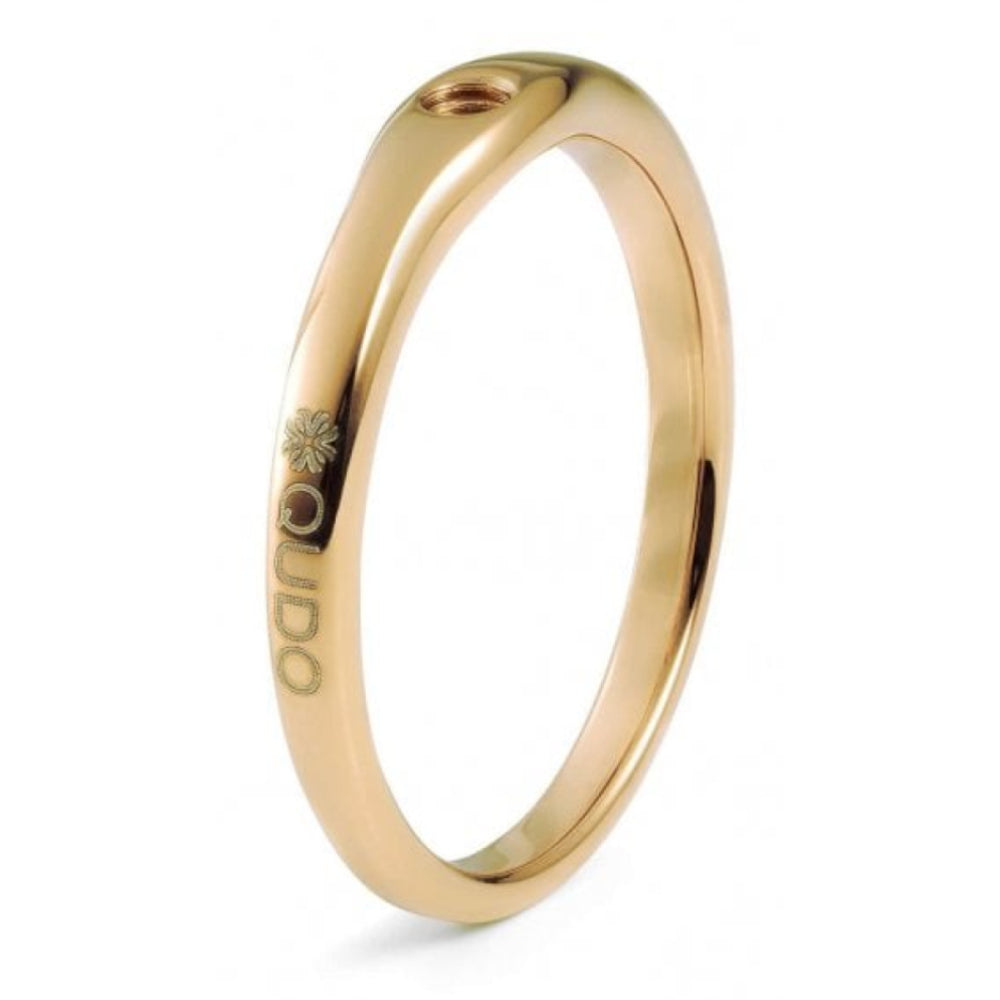 RI FINE (G/P) Gold Plated Ring