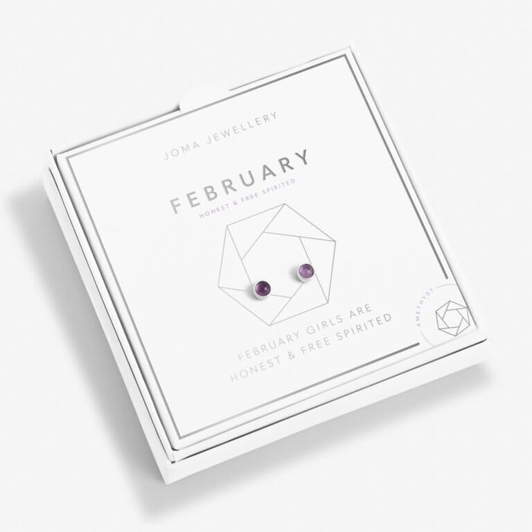 February Amethyst Birthstone Boxed Earrings