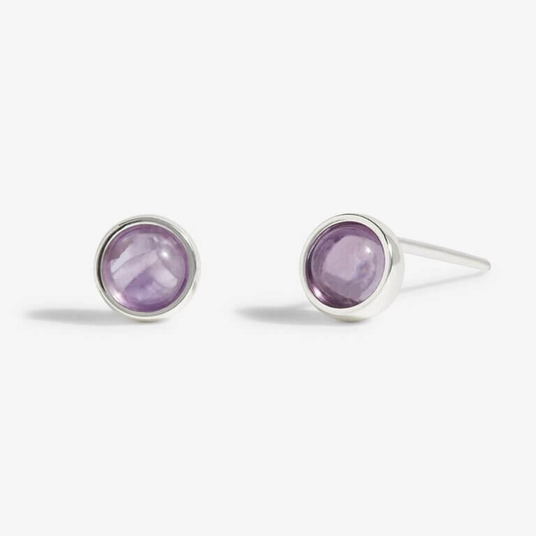 February Amethyst Birthstone Boxed Earrings