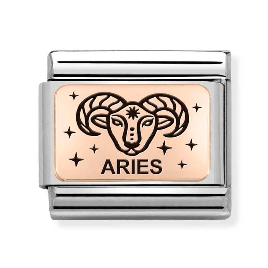 Composable Classic Stainless Steel Link With 9K Rose Gold Aries Zodiac Symbol