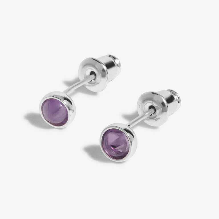 February Amethyst Birthstone Boxed Earrings