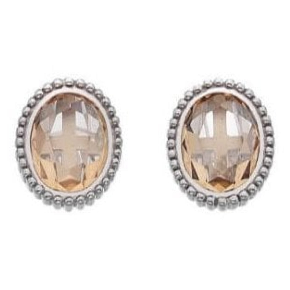 Silver & Single Crystal Loyalty Earrings