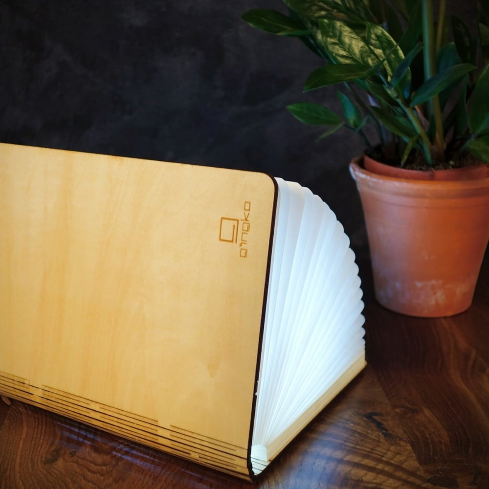 LED Smart Book Light