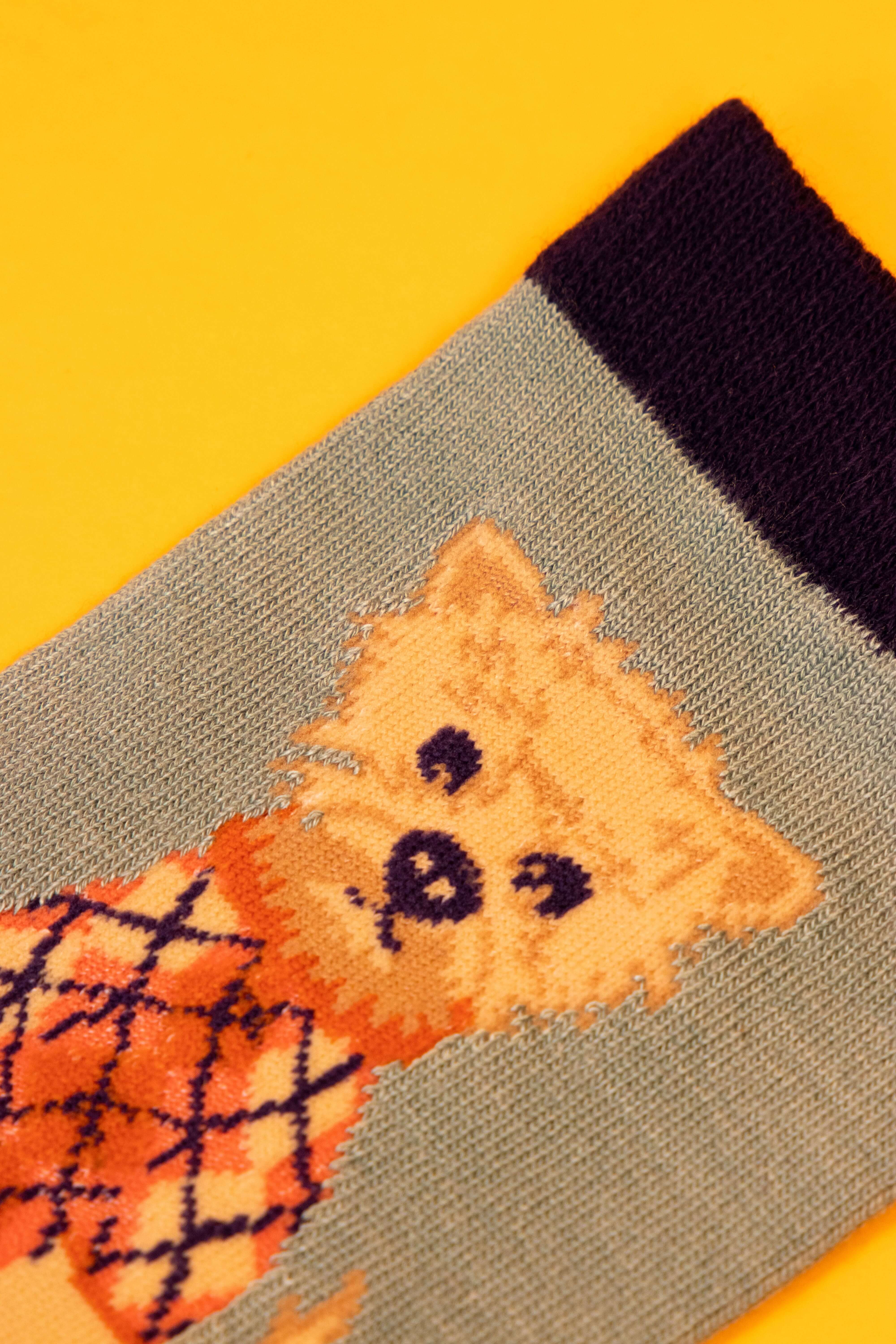 Argyll Westie Ankle Socks- Ice