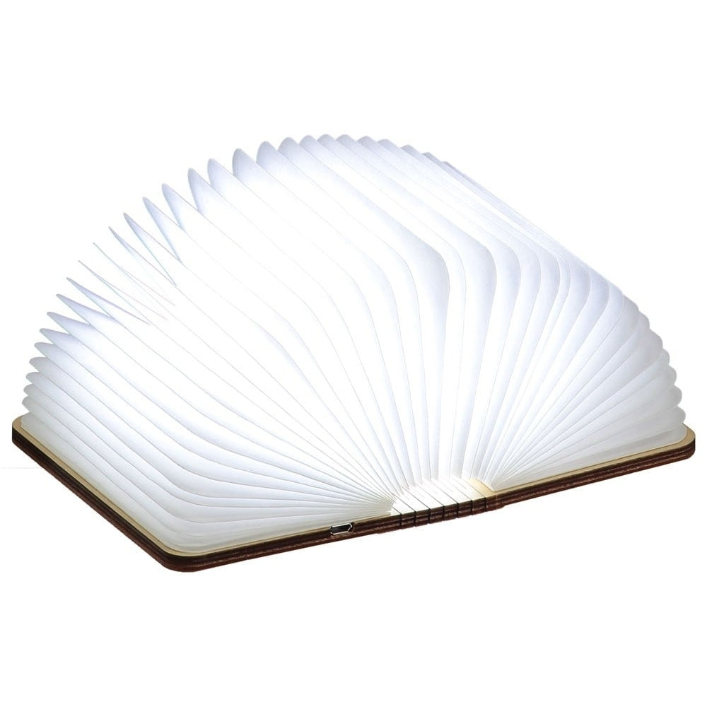 Mini LED Smart Book Light