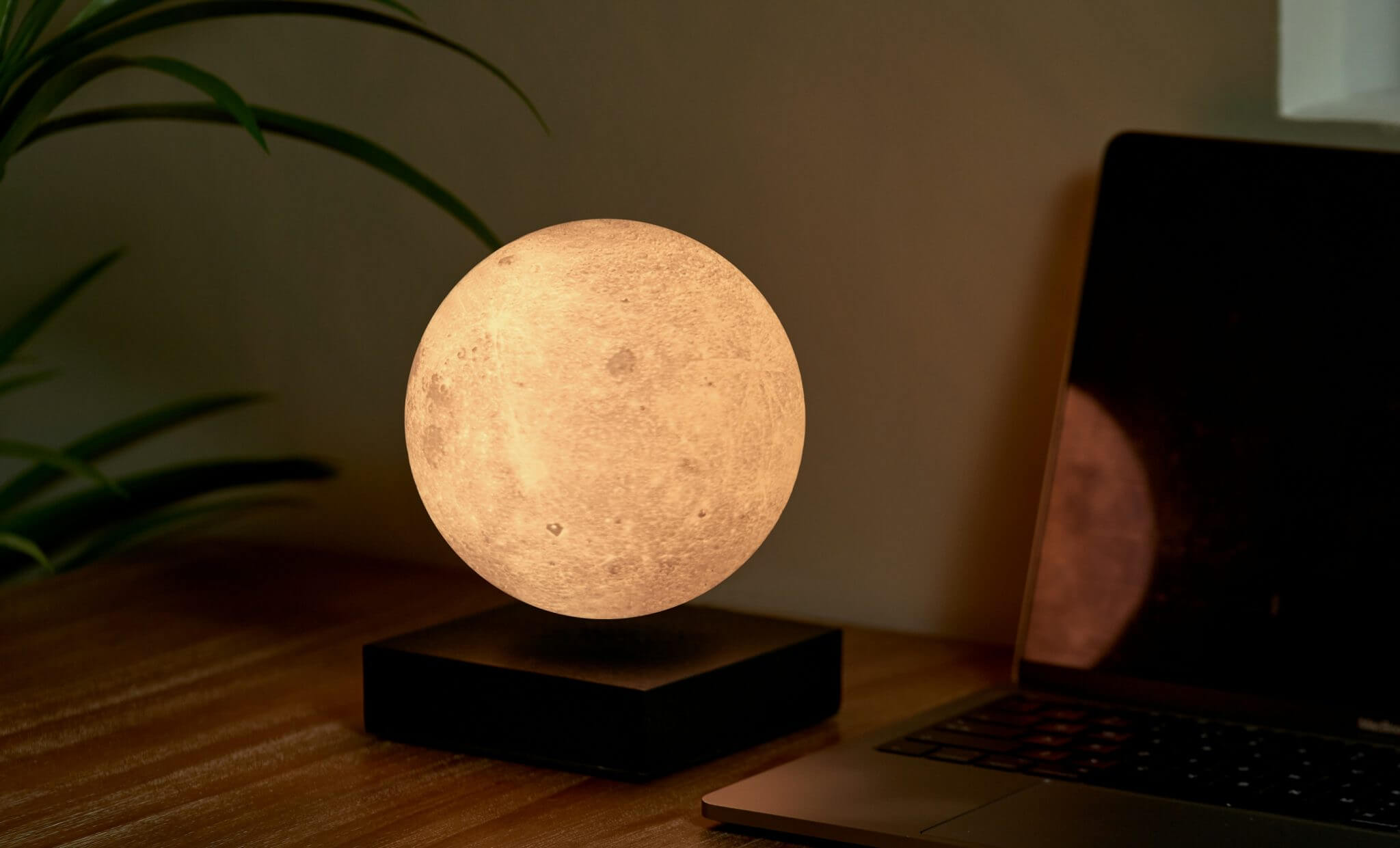 Smart Moon Lamp- Black Wood