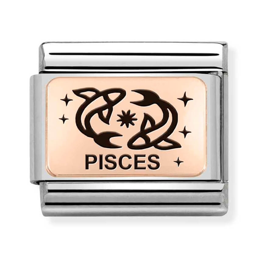 Composable Classic Stainless Steel Link With 9K Rose Gold Pisces Zodiac Symbol