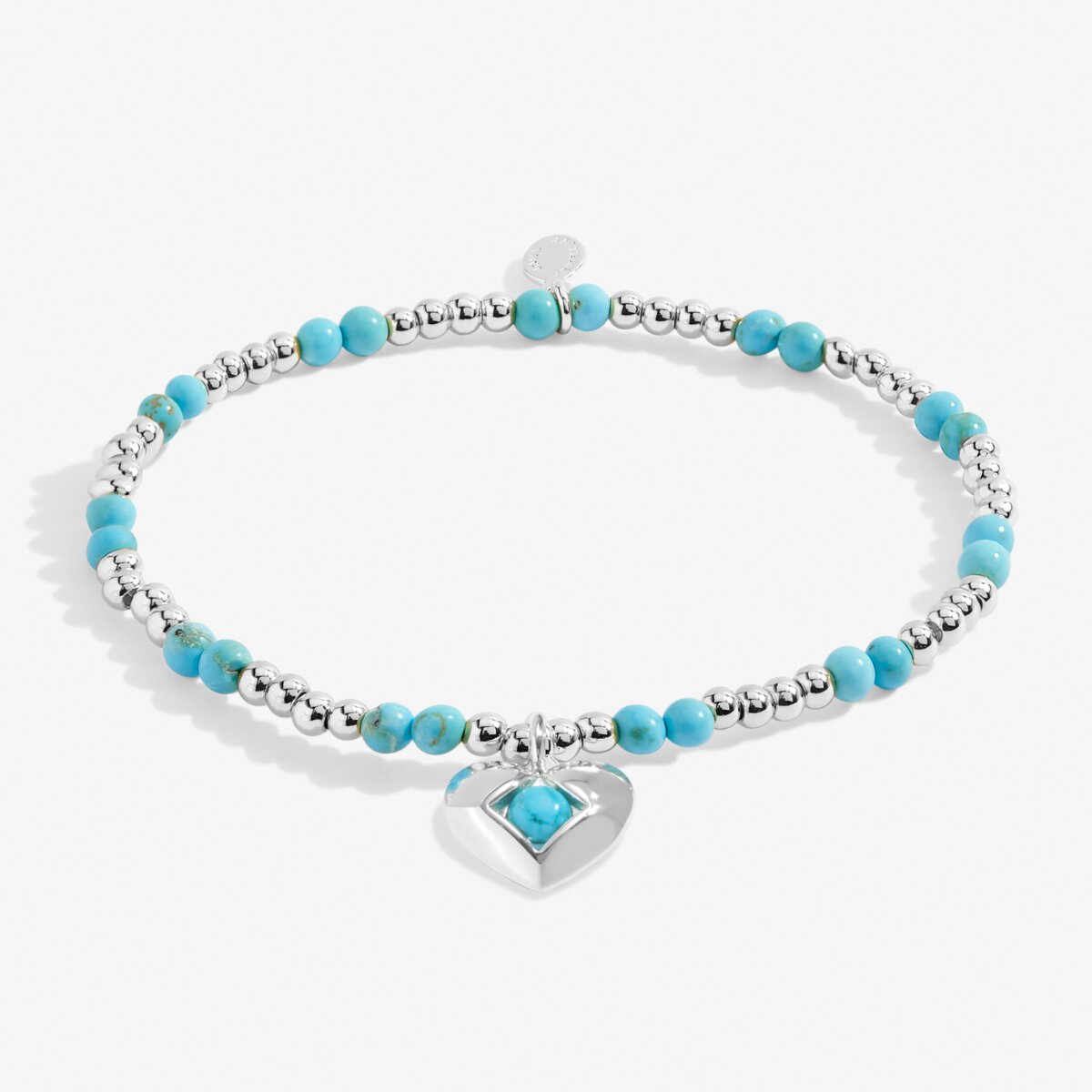 Birthstone A Little 'December' Silver Plated Bracelet